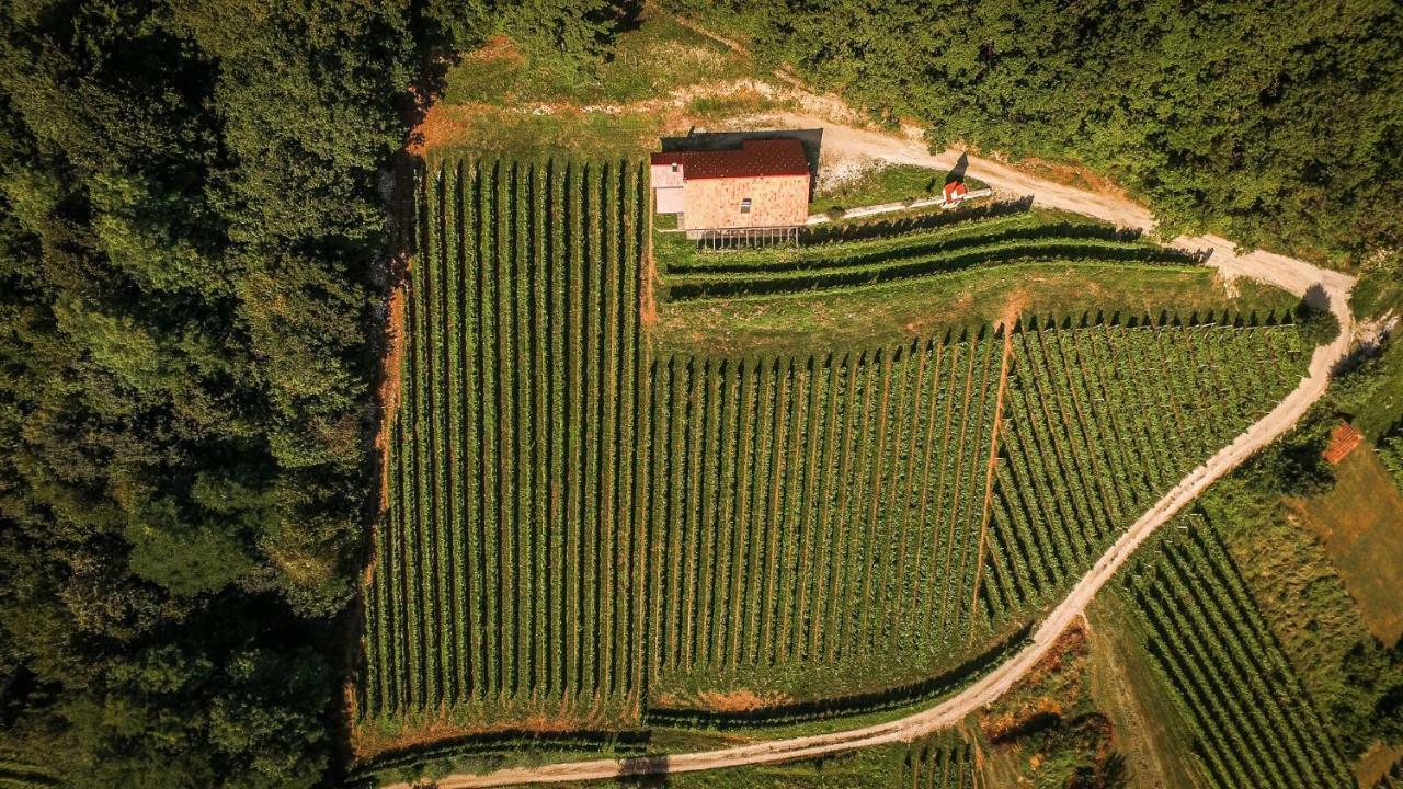Sleme House Guest House Krska Vas Exterior photo