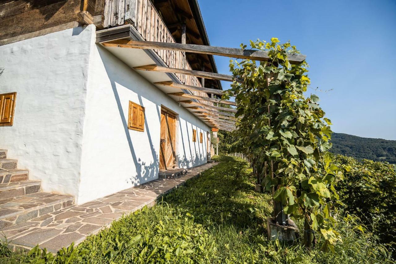 Sleme House Guest House Krska Vas Exterior photo